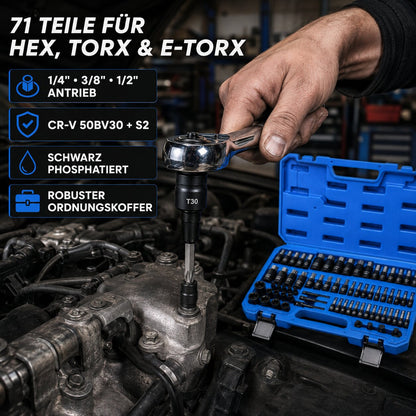 (50% Rabatt) 71-teiliges Hex Torx E-Torx Steckbit-Set